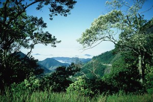 Parc national de Bocaina
