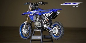 YZ65